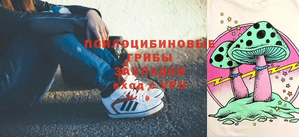 apvp Алзамай
