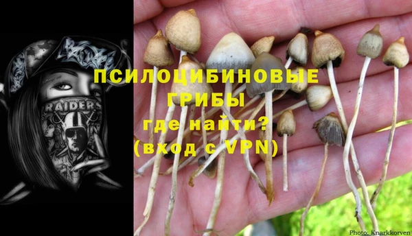 apvp Алзамай
