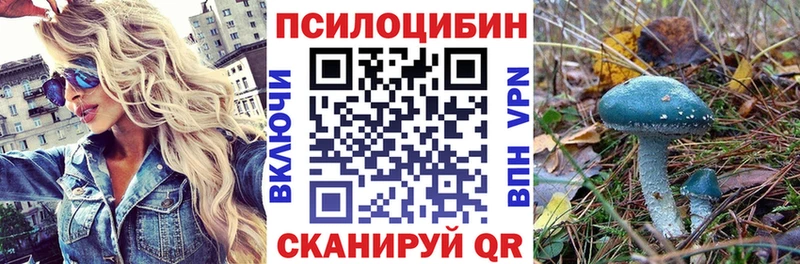 blacksprut   Казань  Псилоцибиновые грибы Psilocybine cubensis 